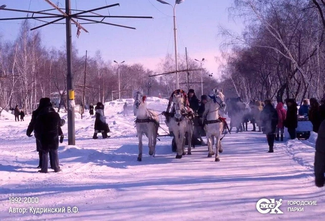 Народ готовился к новогодним праздникам  | Источник: Городские парки / T.me