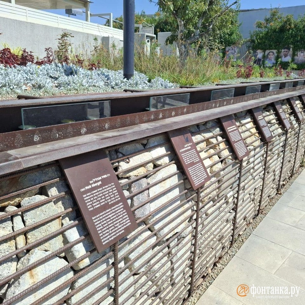 Источник: Ирина Багликова / «Фонтанка.ру»