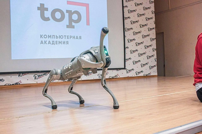 Будущее уже наступило. Фундаментом успеха может стать образование в сфере новых технологий, IT и прочих цифровых дисциплин | Источник: «Академии TOP»