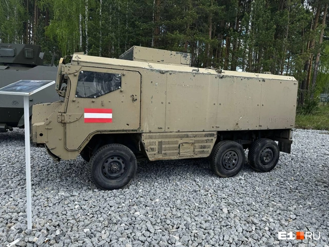 Источник: Дарья Манохина / E1.RU