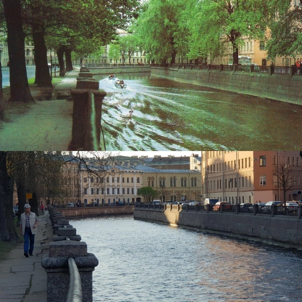 Источник: Деревья Петербурга / ВКонтакте