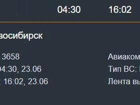 Источник: аэропорт Толмачево