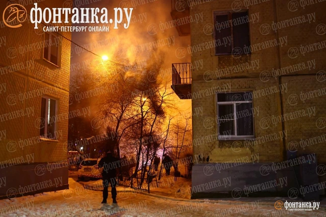 Источник: Дарья Драй / «Фонтанка.ру»