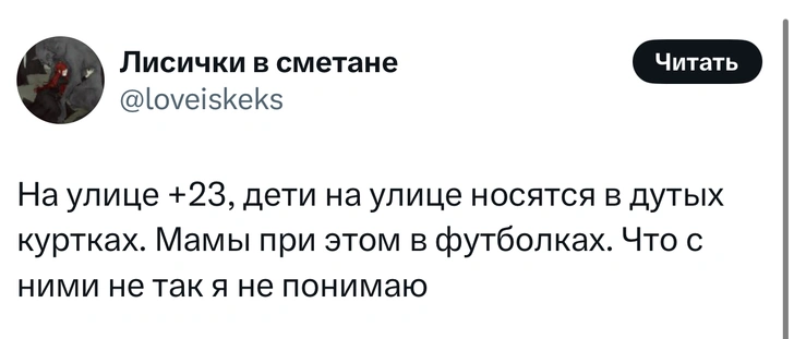 Источник: X (Twitter)
