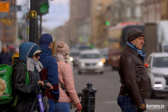 Источник: Дарья Драй / «Фонтанка.ру»
