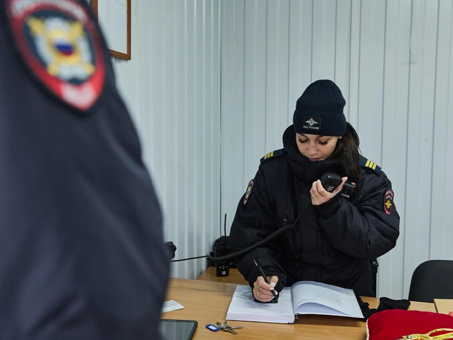 Сотрудники МВД будут следить за порядком в парке «Арена» и на прилегающей территории | Источник: Александр Ощепков / NGS.RU