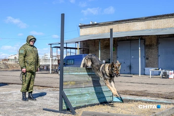 Источник: Олег Фёдоров / CHITA.RU