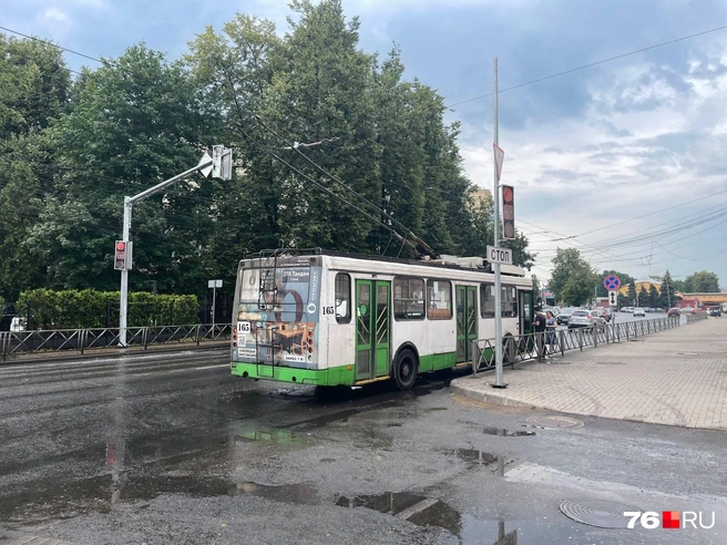 Из-за упавших деревьев и веток оборваны троллейбусные провода. Транспорт не ходит | Источник: Кирилл Поверинов / 76.RU