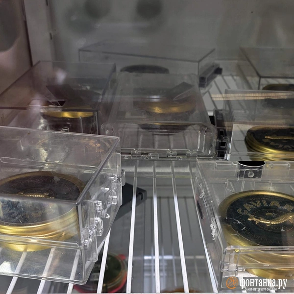 Источник: Наталья Вязовкина / FONTANKA.RU