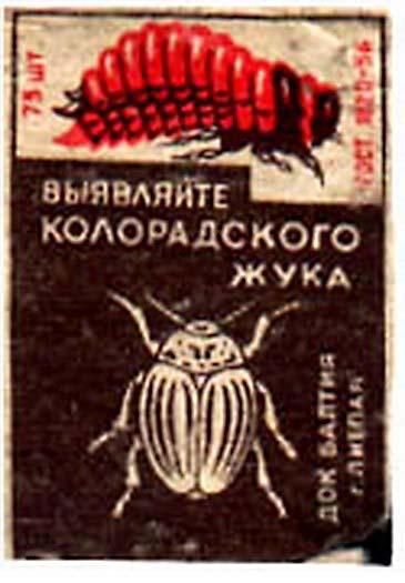 Несколько забавных этикеток со спичечных коробков из СССР Хулиганство,СССР