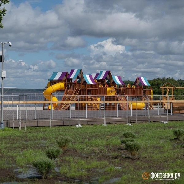 Источник: Андрей Бок / FONTANKA.RU