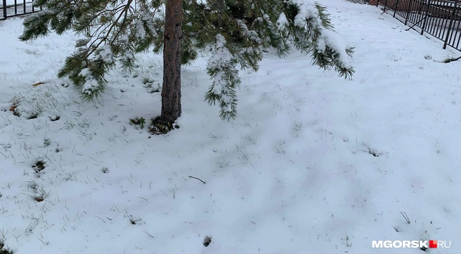 Но на небольшого снеговика вполне хватит | Источник: читатель MGORSK.RU