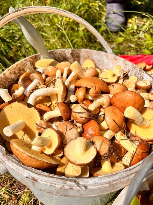 Курагинский район | Источник: Иван Кауфман / VK