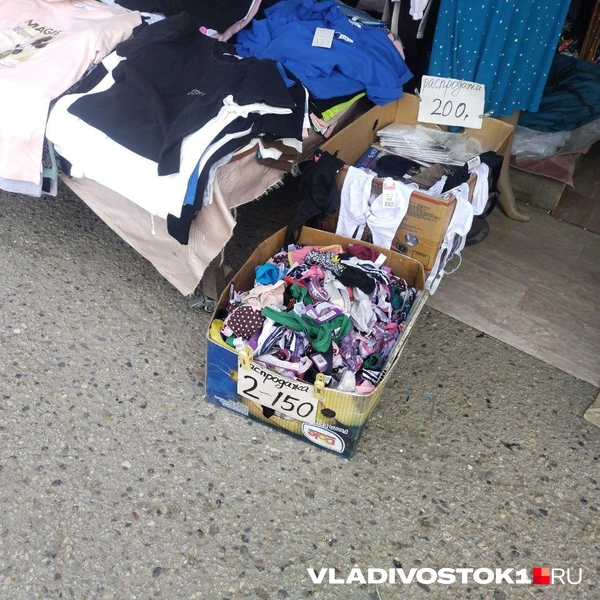 Источник: Екатерина Дымова / VLADIVOSTOK1.RU