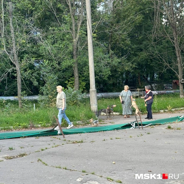 Источник: Андрей Овчаренко