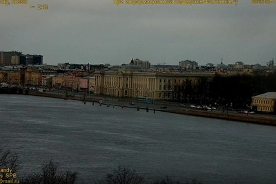 Теплая пятница в Петербурге сменится похолоданием