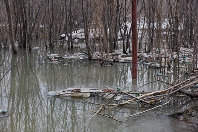 В Новосибирске ждут потепление до +12°C и дождь