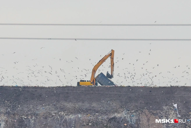 Источник: Артем Устюжанин / MSK1.RU