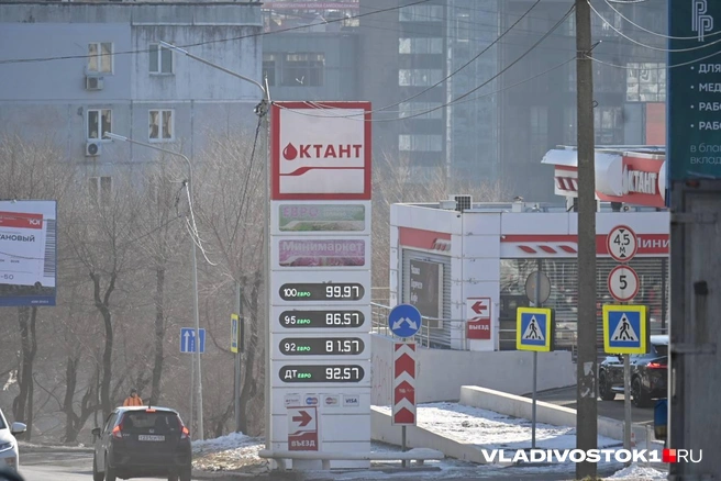 Источник: Елена Буйвол / VLADIVOSTOK1.RU