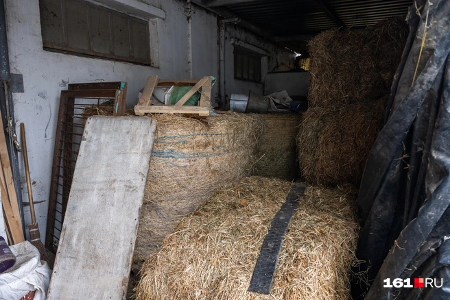 Тюки сена лежат около каждой конюшни | Источник: Евгений Вдовин / 161.RU