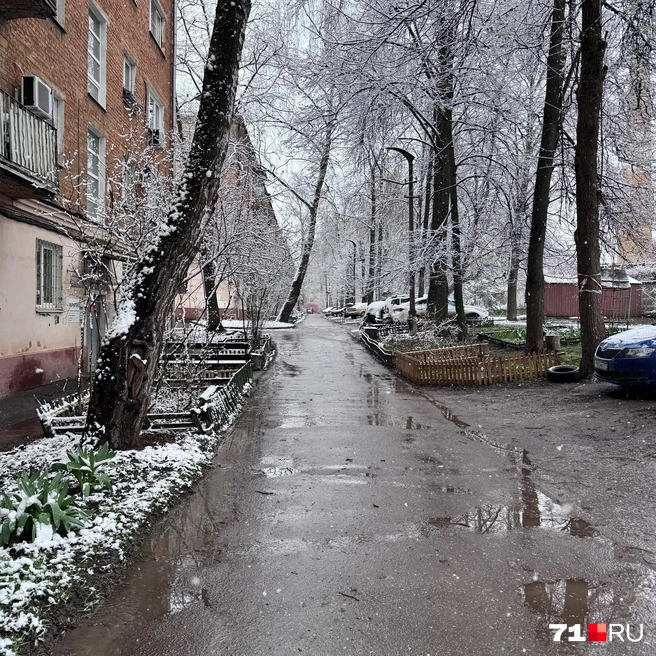 В городе снега еще немного | Источник: Александр Горбанев / 71.RU