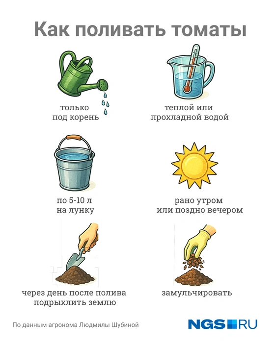 Собрали главные правила полива | Источник: Юрий Орлов / Городские медиа