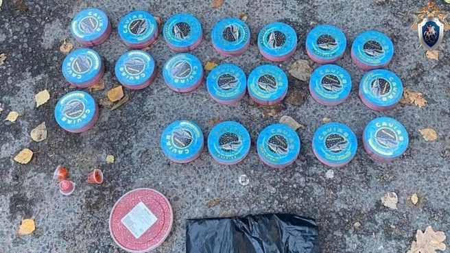 Полкило за 24 тысячи рублей. Незаконный икорный бизнес прикрыли в Петербурге | Источник: ГСУ СК России по Санкт-Петербургу