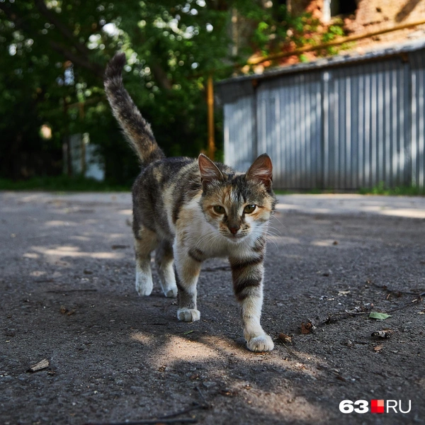 Источник: Роман Данилкин