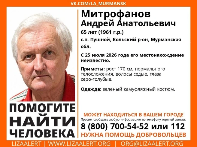Источник: поисковый отряд «ЛизаАлерт» Мурманской области / Vk.com