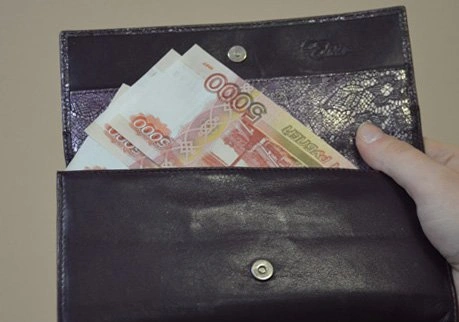 В марте средняя зарплата рязанцев составила 23 734 руб. | ya62.ru