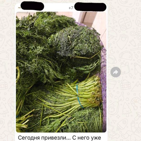 Источник: Александр Сафронов