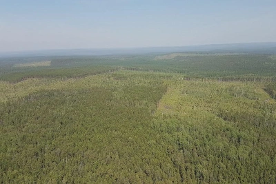 Пятый класс пожарной опасности продлили в Козыревске на Камчатке