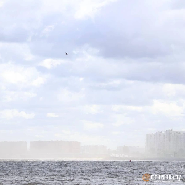 Источник: Сергей Михайличенко / «Фонтанка.ру»