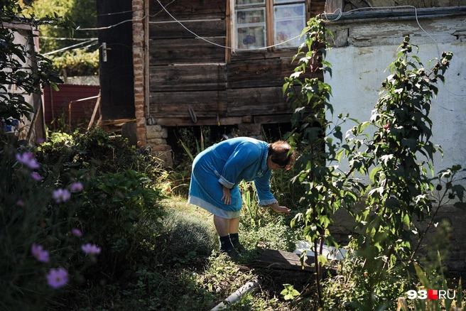 Супруга Бориса Карапетовича собирает травы для чая | Источник: Дарья Паращенко / 93.RU