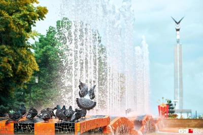 37 Beautiful Samara Photos Perfect for Your Desktop