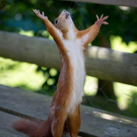 Аватарка artёm