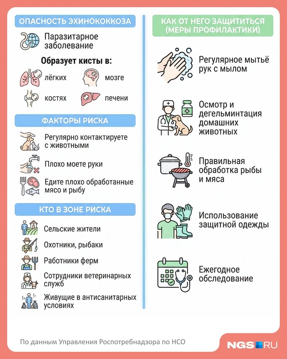 Чтобы избежать заражения эхинококкозом, следует придерживаться простых правил | Источник: Юрий Орлов / Городские медиа