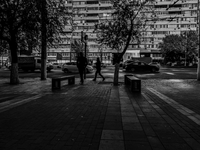 В черно-белом даже привычные пейзажи выглядят как-то иначе | Источник: Дмитрий Доценков