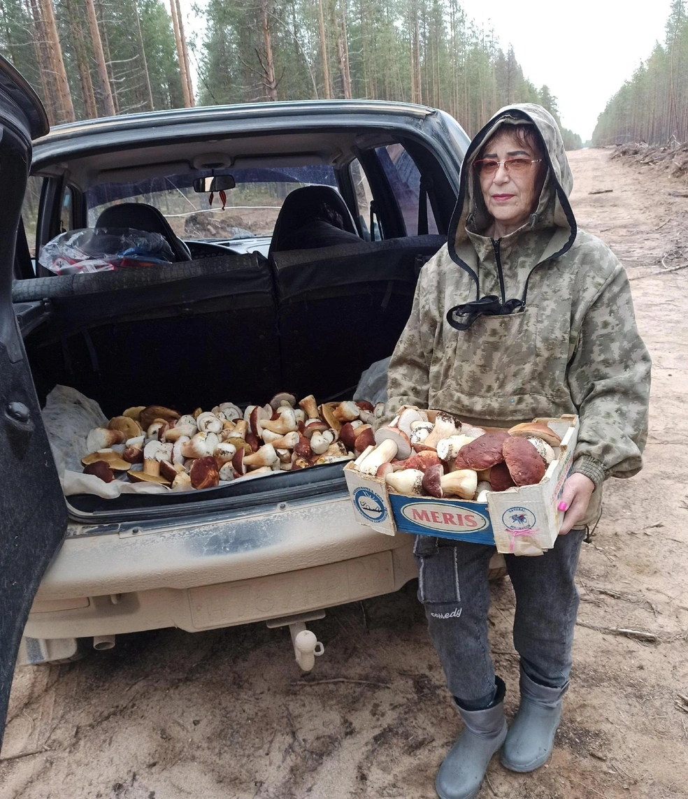 Результат за три часа | Источник: Дина Потапова / Vk.com