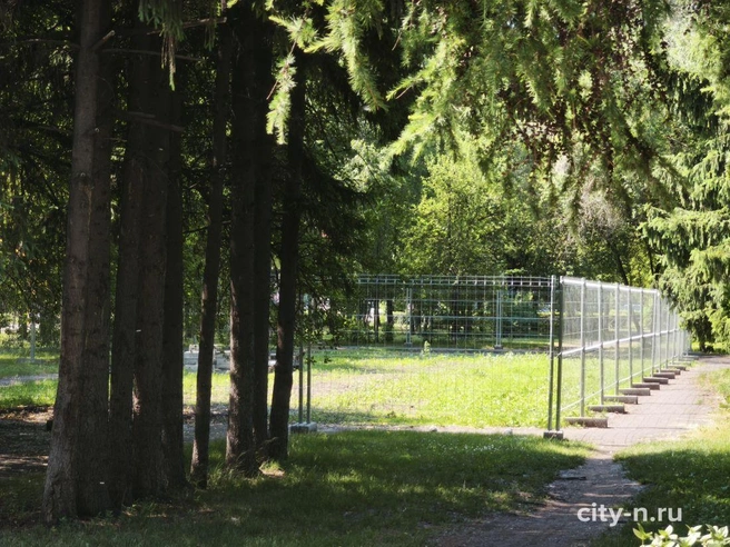 Источник: www.city-n.ru