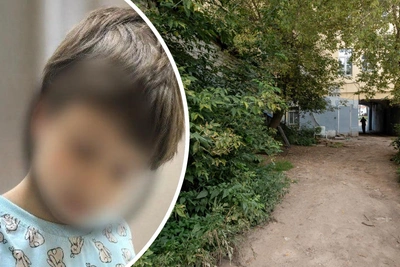 Под Ярославлем нашли пропавшую 6-летнюю девочку