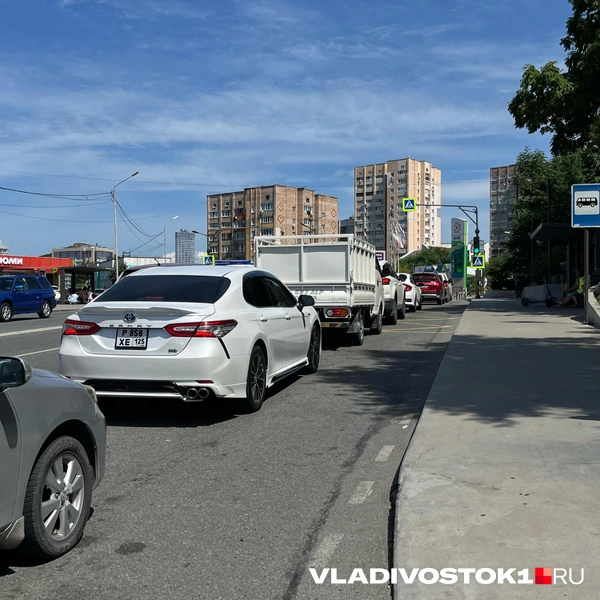 Источник: Елена Буйвол / VLADIVOSTOK1.RU