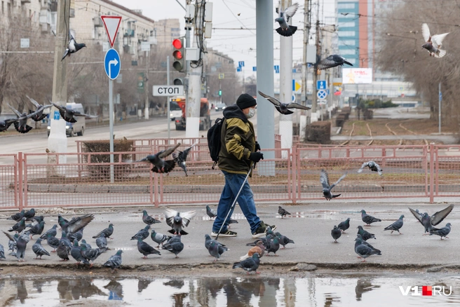 Всего за сутки температура поднимется почти на 20 градусов | Источник: Алексей Волхонский / V1.RU