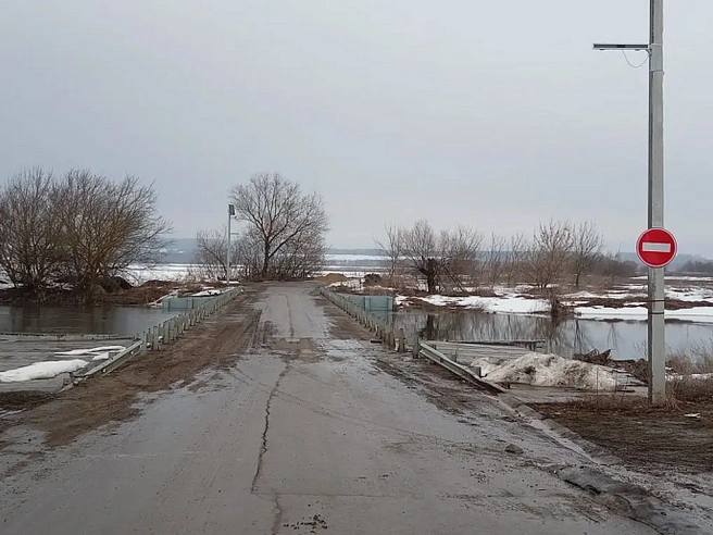 Один из перекрытых мостов | Источник: Министерство транспорта и дорожного хозяйства Тульской области