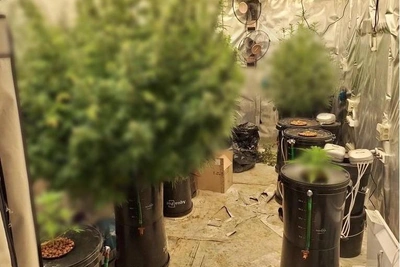 Бойцы СОБР ворвались к дачнику в Екатеринбурге