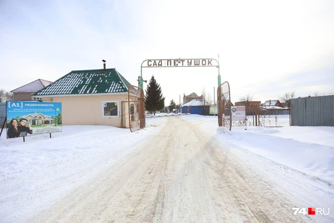 В «Петушке» тысяча участков, но круглый год живет небольшая часть садоводов | Источник: Дарья Пона
