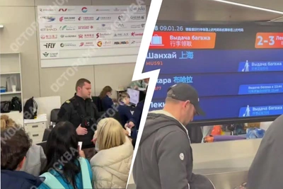 Акция протеста в Шереметьево из-за задержки багажа