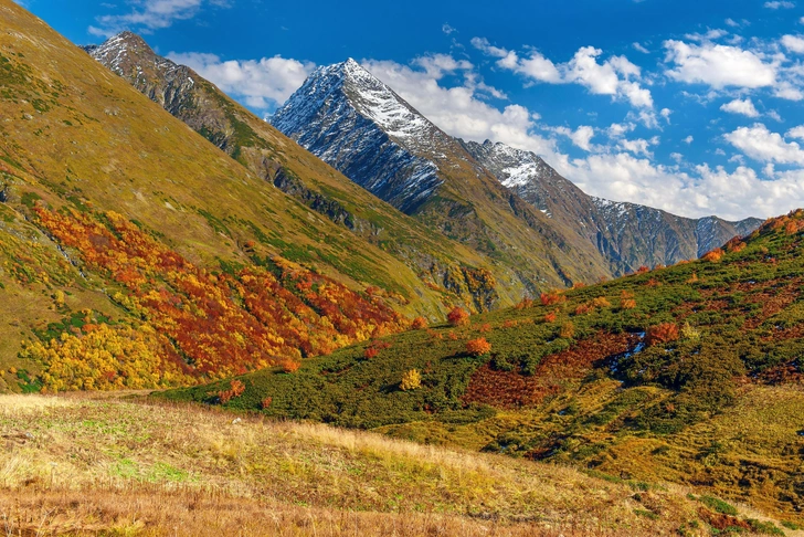 «Стихийный турист — большая головная боль»: что нужно знать, чтобы ваша прогулка по заповеднику не навредила природе | Источник: Дмитрий Андреев / Пресс-служба Кавказского заповедника