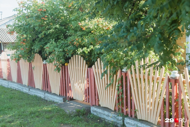 Источник: Иван Митюшев / 29.RU