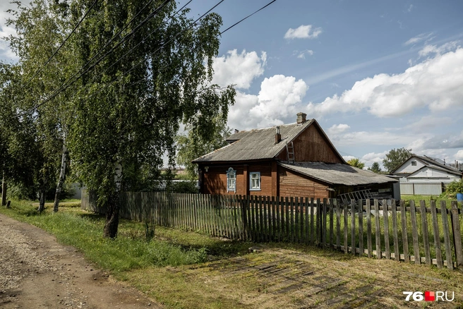 Стоит отойти всего несколько шагов от дороги&nbsp;— и городской шум сменяется тишиной, нарушаемой лишь пением птиц | Источник: Александр Куренной / 76.RU